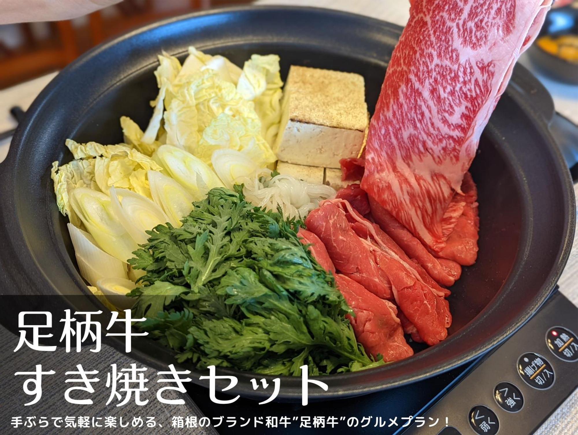 Willa 和光荘 Harmonious Light South Hakone Zewnętrze zdjęcie